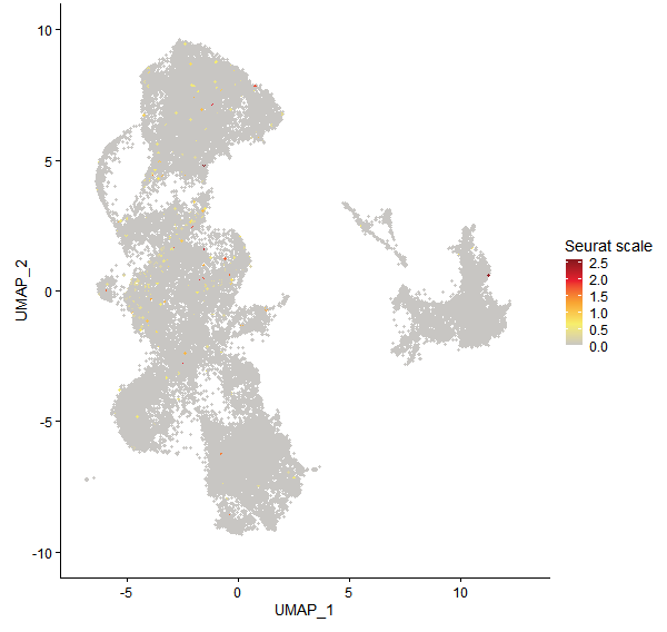 Feature plot of Mp5g16560 on UMAP