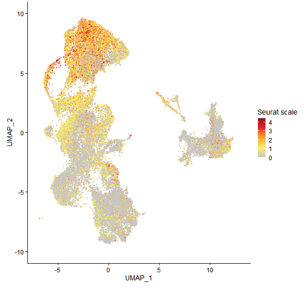 Feature plot of Mp5g16840 on UMAP
