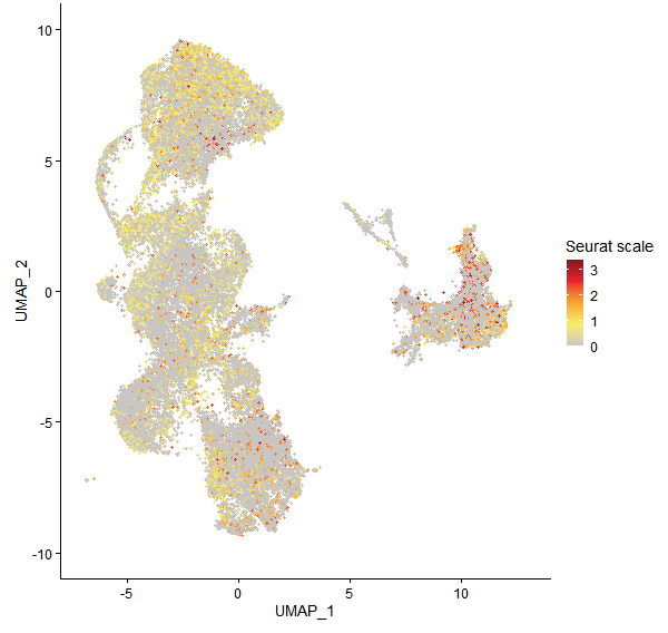 Feature plot of Mp5g16980 on UMAP