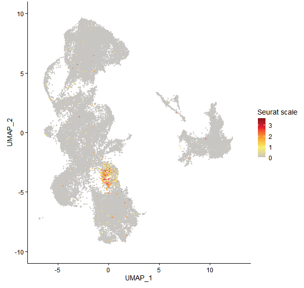 Feature plot of Mp5g19170 on UMAP