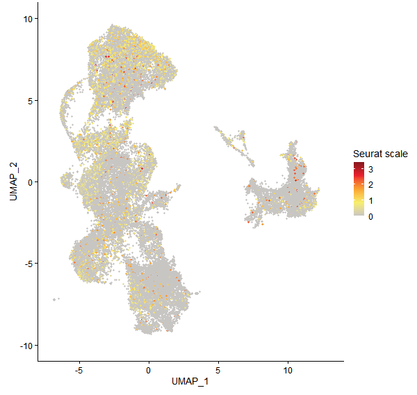 Feature plot of Mp5g19740 on UMAP