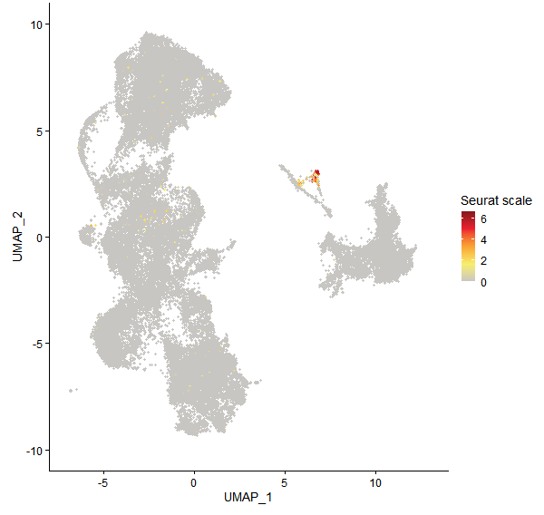 Feature plot of Mp5g20040 on UMAP