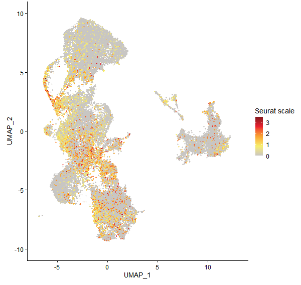 Feature plot of Mp5g20140 on UMAP