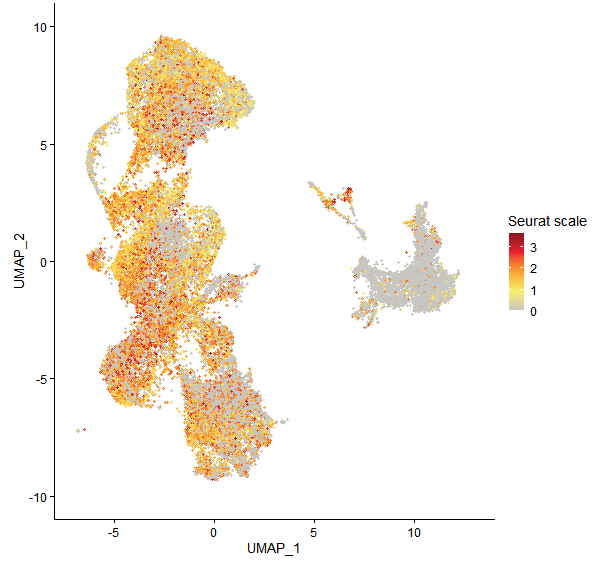 Feature plot of Mp5g20700 on UMAP
