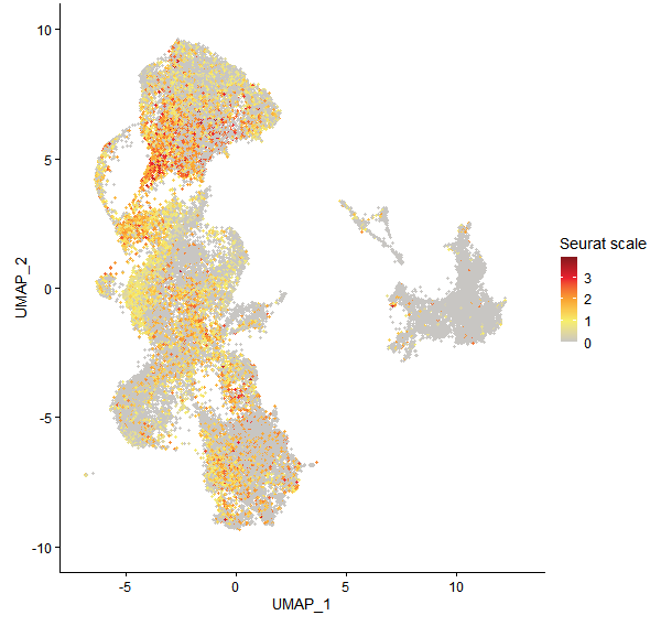 Feature plot of Mp5g22430 on UMAP