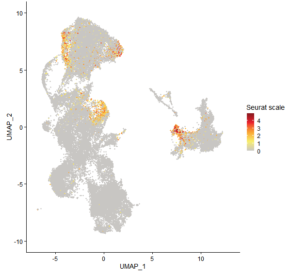 Feature plot of Mp5g22720 on UMAP