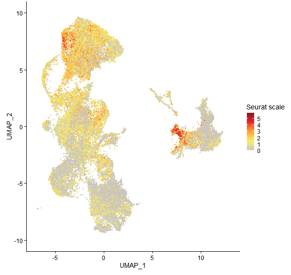 Feature plot of Mp6g00020 on UMAP