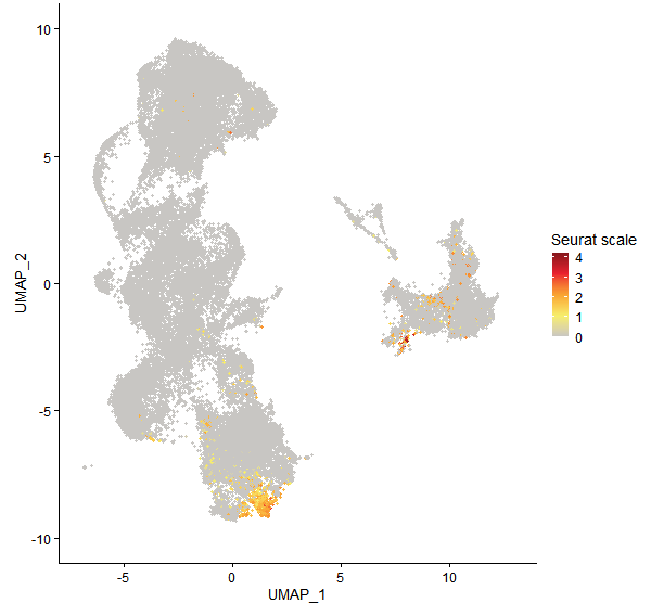 Feature plot of Mp6g03010 on UMAP