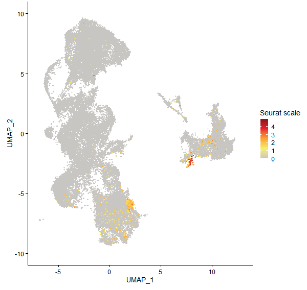 Feature plot of Mp6g03110 on UMAP