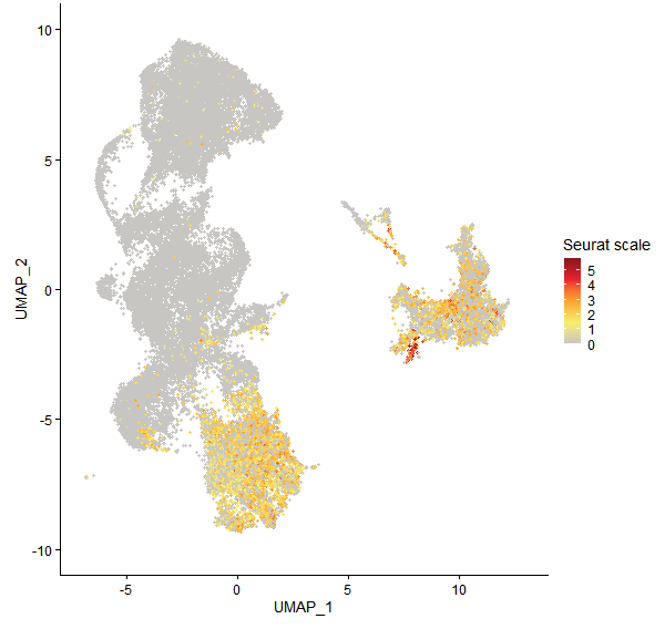 Feature plot of Mp6g03120 on UMAP