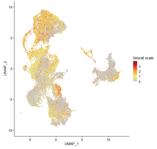 Feature plot of Mp6g03150 on UMAP
