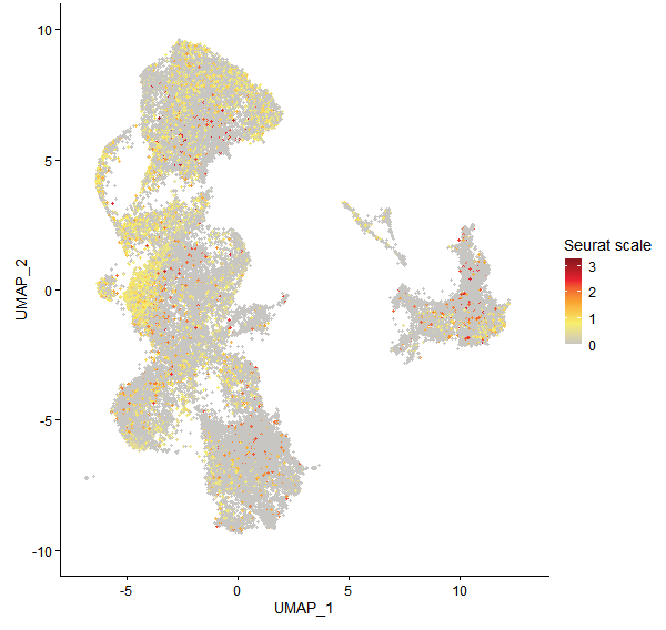 Feature plot of Mp6g03600 on UMAP