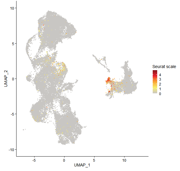 Feature plot of Mp6g03890 on UMAP