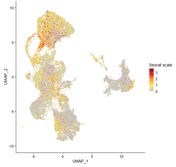 Feature plot of Mp6g05000 on UMAP
