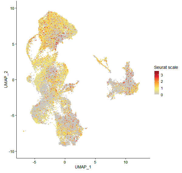Feature plot of Mp6g05010 on UMAP