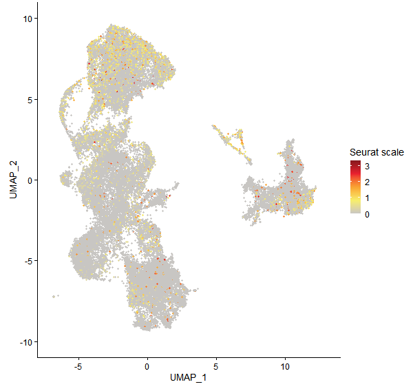 Feature plot of Mp6g07410 on UMAP