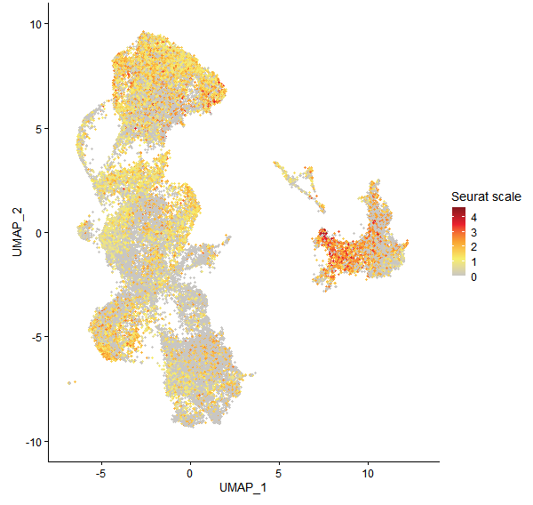 Feature plot of Mp6g11390 on UMAP