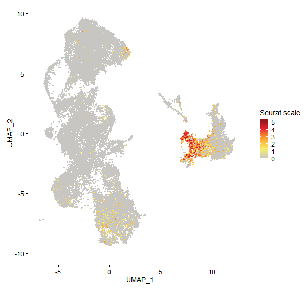 Feature plot of Mp6g11930 on UMAP