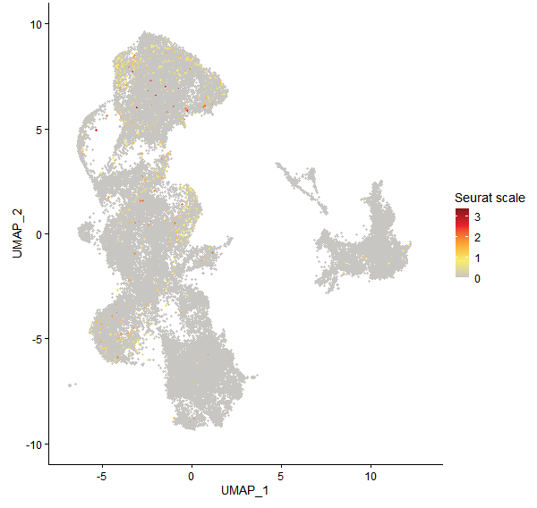 Feature plot of Mp6g13210 on UMAP