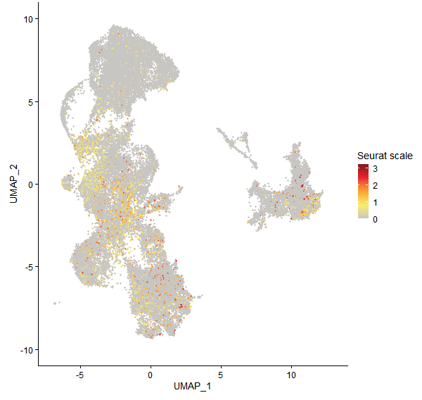 Feature plot of Mp6g13500 on UMAP