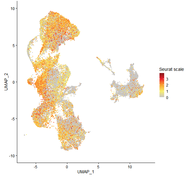 Feature plot of Mp6g13790 on UMAP