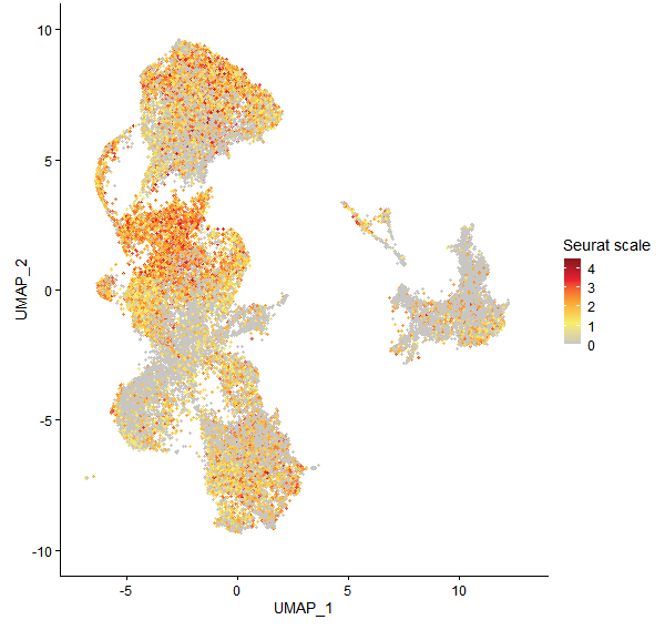 Feature plot of Mp6g14520 on UMAP