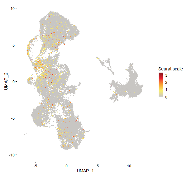 Feature plot of Mp6g15150 on UMAP