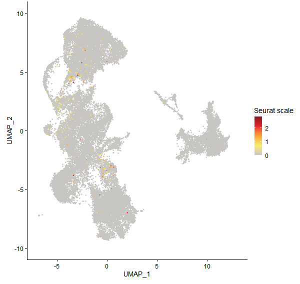 Feature plot of Mp6g15550 on UMAP