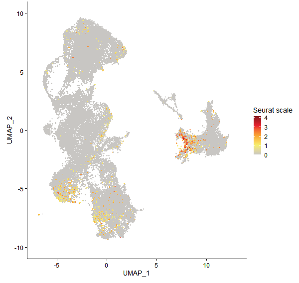 Feature plot of Mp6g20430 on UMAP