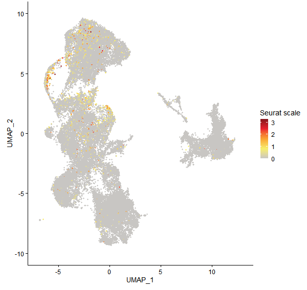 Feature plot of Mp6g20920 on UMAP