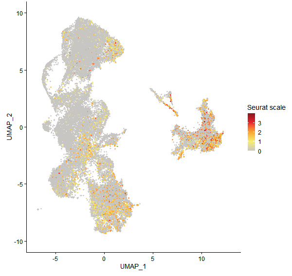 Feature plot of Mp7g00660 on UMAP