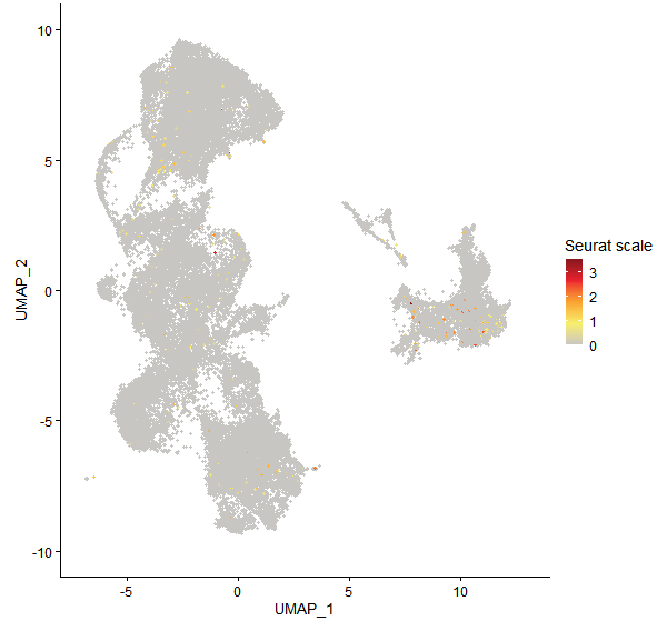 Feature plot of Mp7g00710 on UMAP