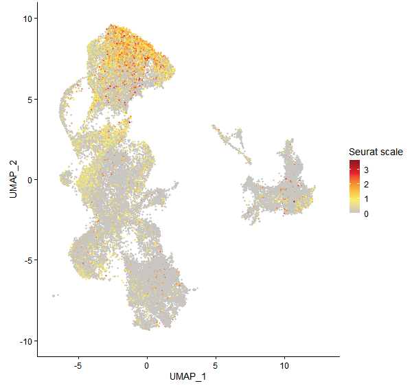 Feature plot of Mp7g02840 on UMAP