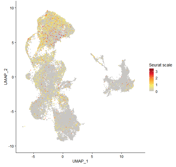 Feature plot of Mp7g03490 on UMAP