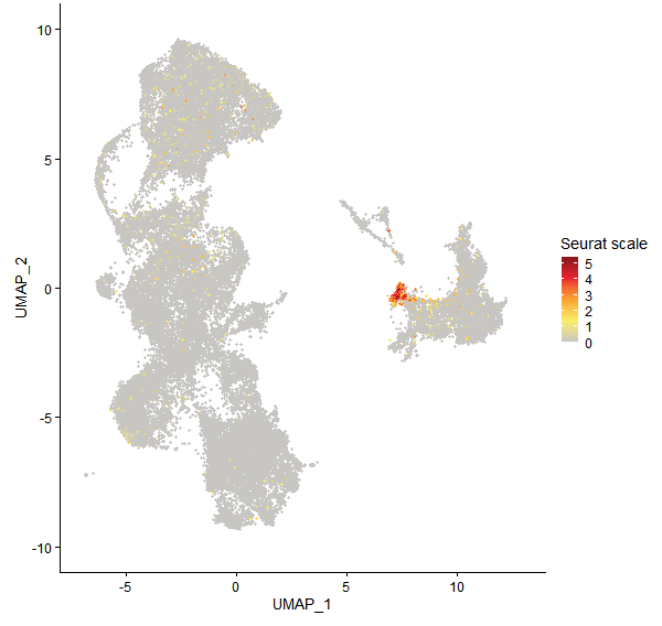 Feature plot of Mp7g04240 on UMAP