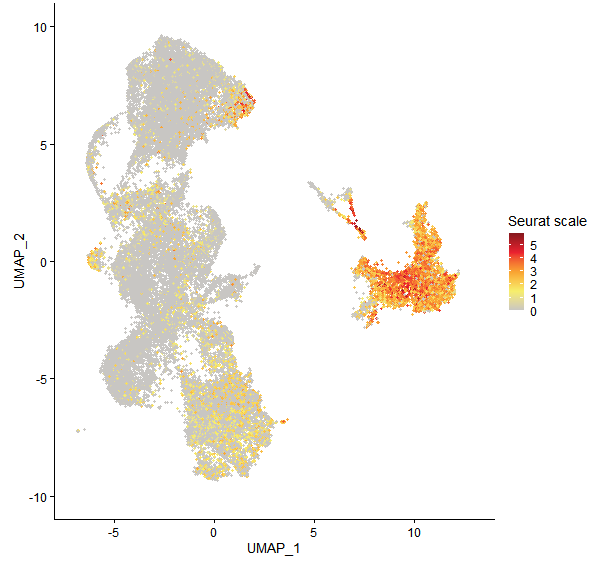 Feature plot of Mp7g05690 on UMAP