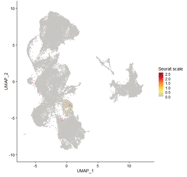 Feature plot of Mp7g06500 on UMAP