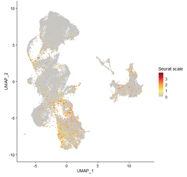 Feature plot of Mp7g06530 on UMAP