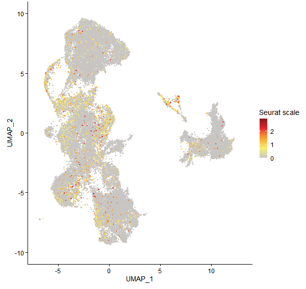 Feature plot of Mp7g06550 on UMAP
