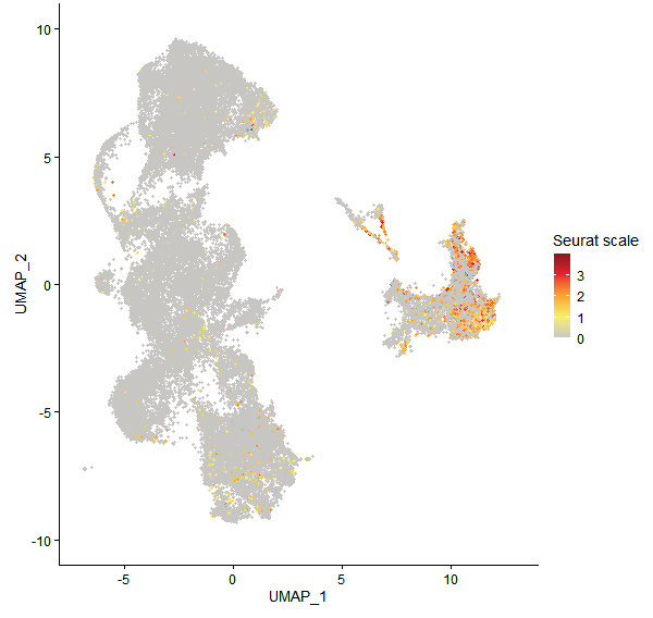 Feature plot of Mp7g06630 on UMAP