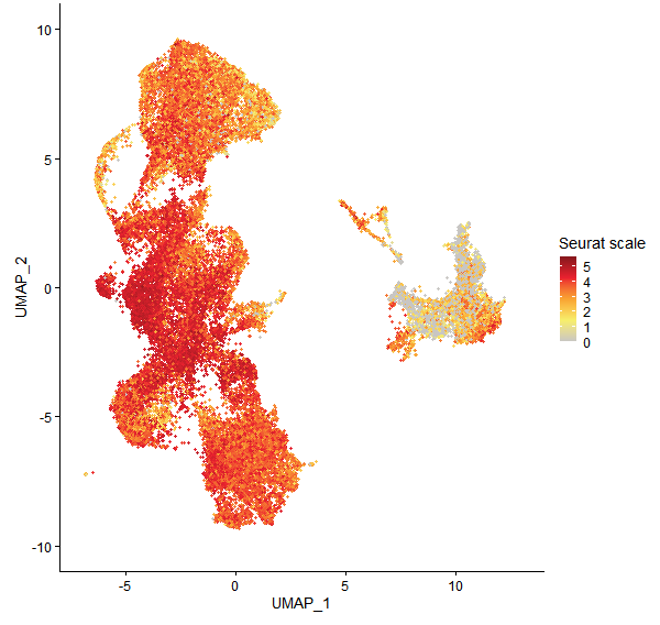 Feature plot of Mp7g06790 on UMAP
