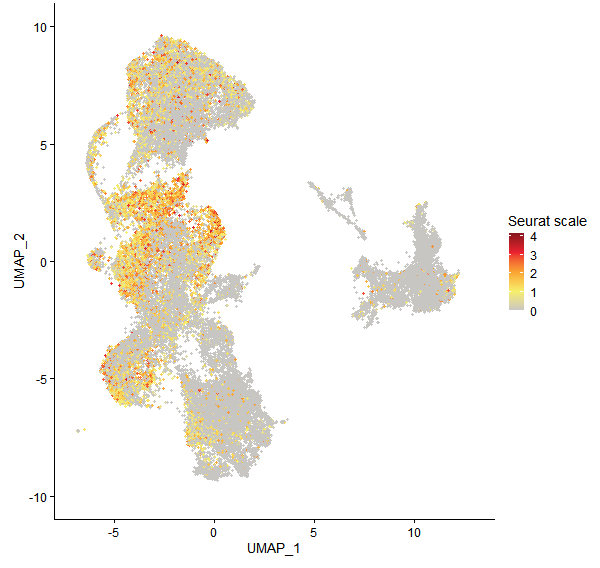 Feature plot of Mp7g07060 on UMAP