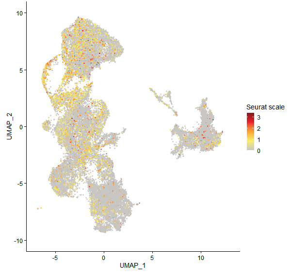 Feature plot of Mp7g07550 on UMAP