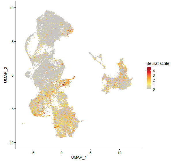Feature plot of Mp7g11560 on UMAP
