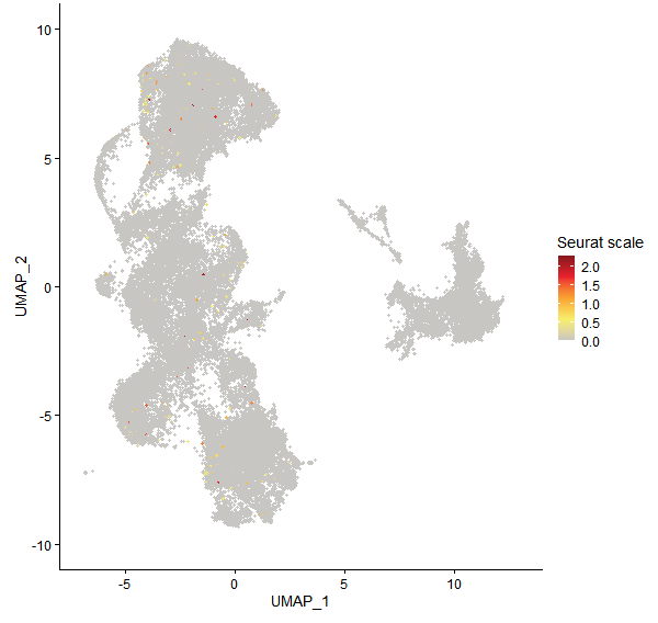 Feature plot of Mp7g11980 on UMAP