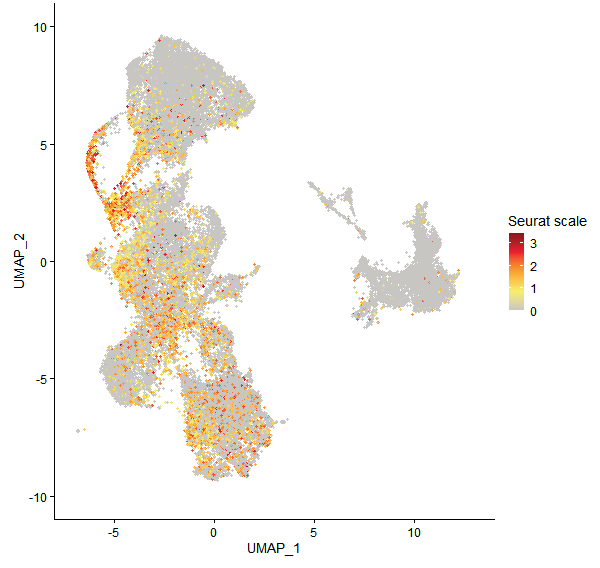 Feature plot of Mp7g12690 on UMAP