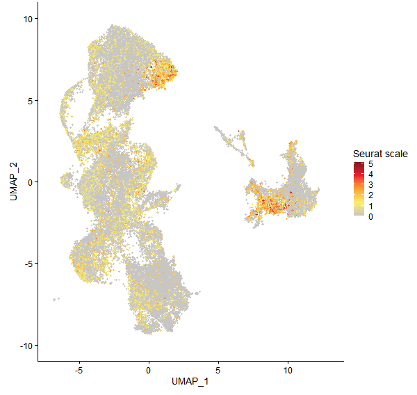Feature plot of Mp7g13860 on UMAP