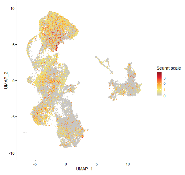Feature plot of Mp7g13980 on UMAP