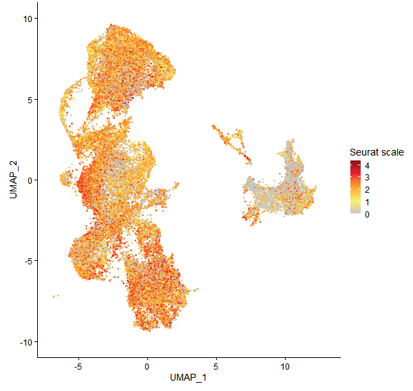 Feature plot of Mp7g14090 on UMAP