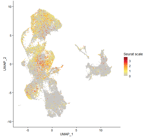 Feature plot of Mp7g16080 on UMAP